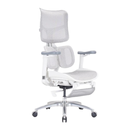 Эргономичное компьютерное кресло SIHOO S100-B303-JT серого цвета с двойной поддержкой поясницы