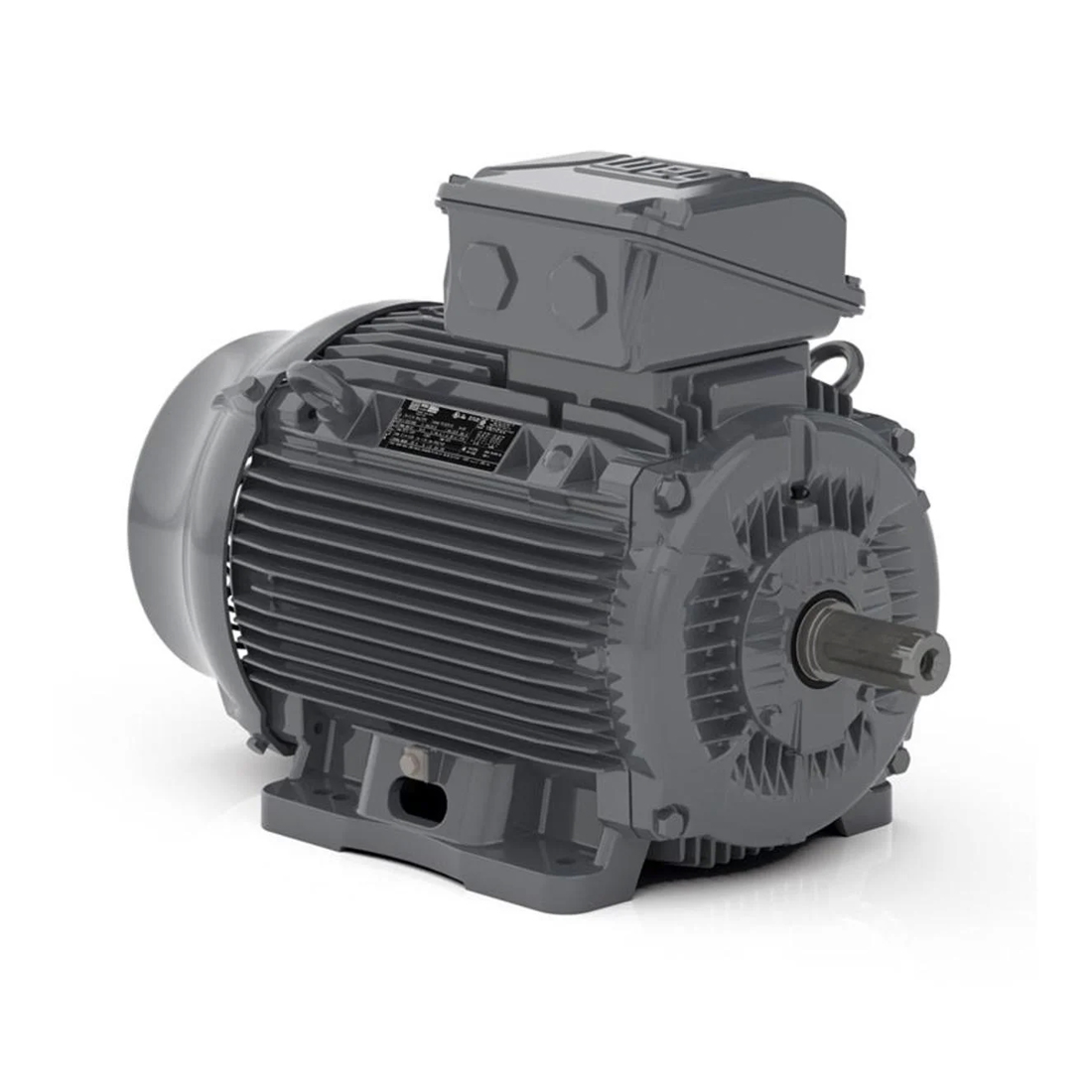 Асинхронный электродвигатель, WEG, 16257924, WGOST-L100L, 4 kW, 4 Пол, B3T, 220/380 В, 50 Гц, IE1, IP55, Std.