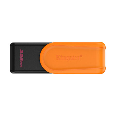 USB-накопитель Kingston DTXS/256GB 256GB