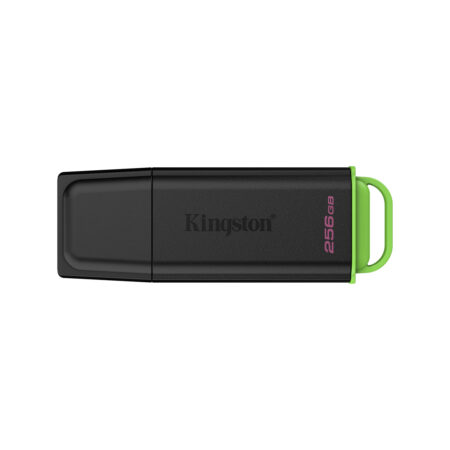 USB-накопитель Kingston DTXG2/256GB 256GB Чёрный/Зелёный