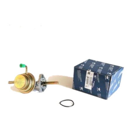 Бензонасос механический WXQP 312209